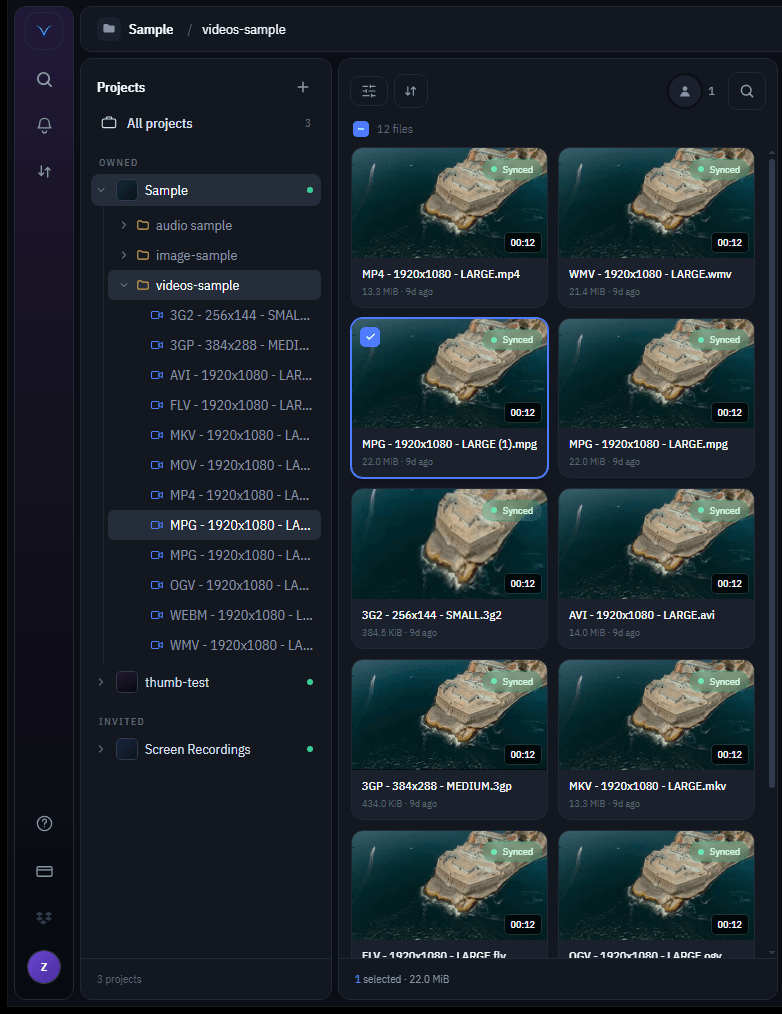 Vidsync file tree listing clips in many formats — MP4, MOV, MKV, AVI, FLV, WEBM, WMV, MPG, OGV — each marked Synced.